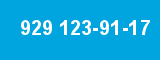 929 123-91-17